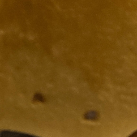 Scooby Doo Bunny Easter Greeter - Picture 16 of 16